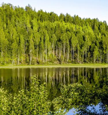 trekking tra i fiordi