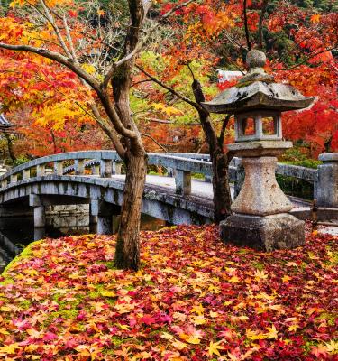 kyoto