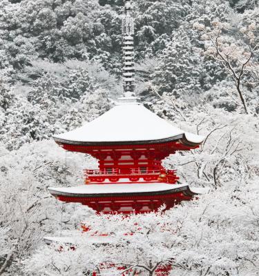 tour  giappone inverno 